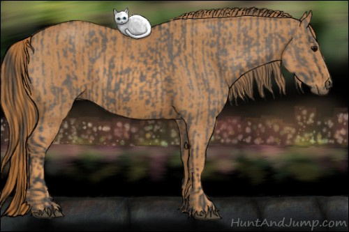 Horse Color: Brown Dun Sabino Rabicano  Brindle