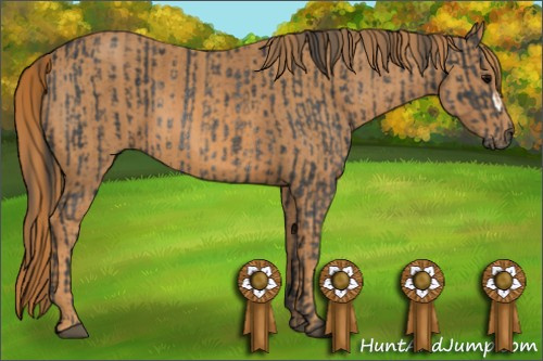 Horse Color: Brown Rabicano  Brindle