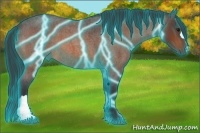 Horse Color:Thunderstruck Bay Roan