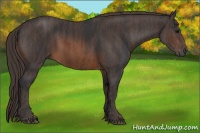 Horse Color:Brown Rabicano Brindle