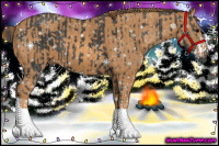 Horse Color:Brown Sabino Rabicano Brindle