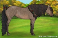 Horse Color:Brown Dun Rabicano Brindle
