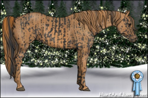 Horse Color: Brown Rabicano  Brindle