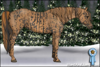 Horse Color:Brown Rabicano  Brindle