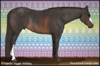 Horse Color:Brown Rabicano  Brindle