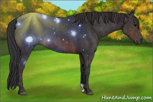 Horse Color: Brown Rabicano  Brindle