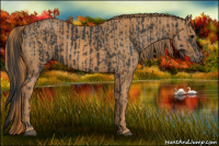 Horse Color:Brown Rabicano  Brindle