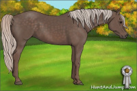 Horse Color:Silver Black 