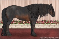Horse Color:Brown Rabicano  Brindle