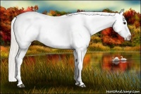 Horse Color:Silver Smoky Grullo Tobiano Blanket 