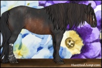 Horse Color:Brown Rabicano  Brindle