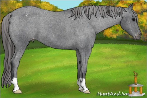 Horse Color: Black Varnish 