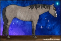 Horse Color:Grullo Rabicano  Brindle