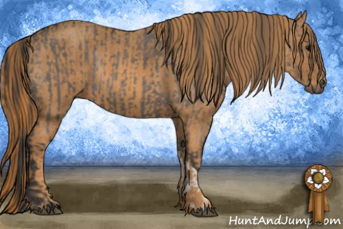 Horse Color: Brown Dun Rabicano  Brindle