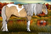 Horse Color:Silver Buckskin Dun Splash Tobiano Rabicano 