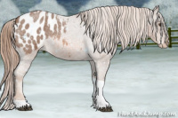 Horse Color:Liver Red Roan Tobiano Appaloosa 