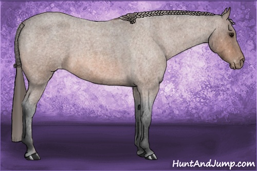 Horse Color: Bay Roan Sabino Varnish 