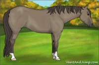 Horse Color:Smoky Grullo 