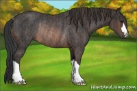 Horse Color:Brown Rabicano  Brindle