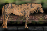 Horse Color:Brown Rabicano  Brindle