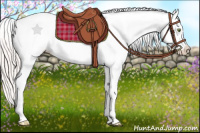 Horse Color:Silver Amber Champagne Dun Splash Tobiano Appaloosa 
