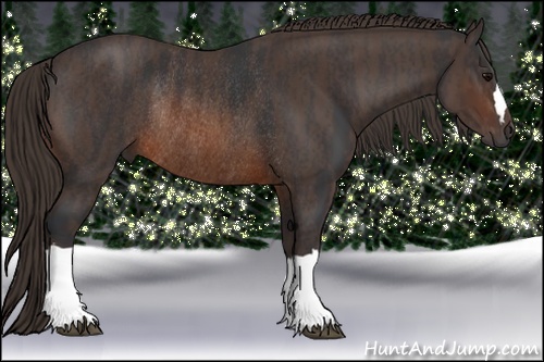 Horse Color: Brown Rabicano  Brindle