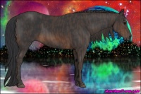Horse Color:Brown Rabicano  Brindle