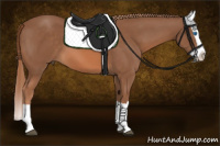 Horse Color:Liver Chestnut Splash 