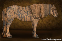 Horse Color:Brown Rabicano  Brindle