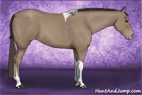 Horse Color: Classic Champagne Tobiano 