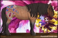 Horse Color:Buckskin Roan 