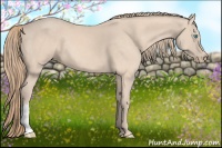 Horse Color:Perlino 
