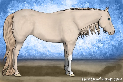 Horse Color: Perlino 