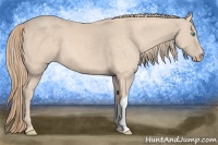 Horse Color:Perlino 