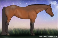 Horse Color:Buckskin Roan 