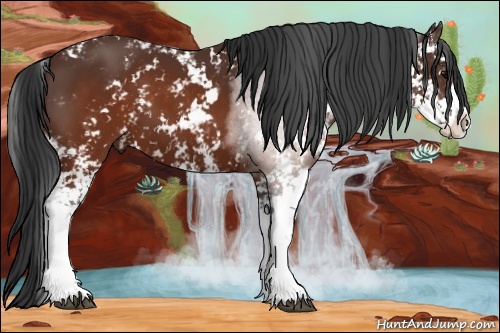 Horse Color: Brown Sabino 