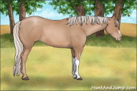 Horse Color:Silver Brown Pearl 
