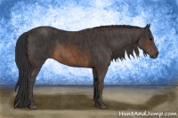 Horse Color:Brown Rabicano  Brindle