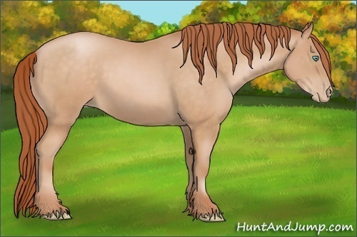 Horse Color: Buckskin Pearl 