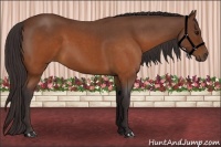 Horse Color:Buckskin Roan 