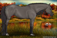 Horse Color:Buckskin Dun 