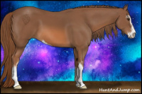Horse Color:Chestnut Sabino