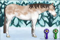 Horse Color:White Spotted Amber Champagne Roan Frame 