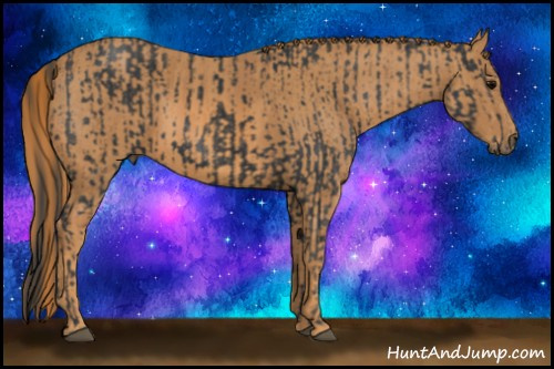 Horse Color: Brown Rabicano  Brindle