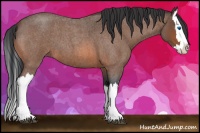 Horse Color:Bay Roan Splash 