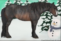 Horse Color:Brown Rabicano Brindle