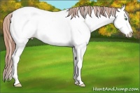 Horse Color:White Spotted Sable Champagne Dun Splash Near Fewspot 