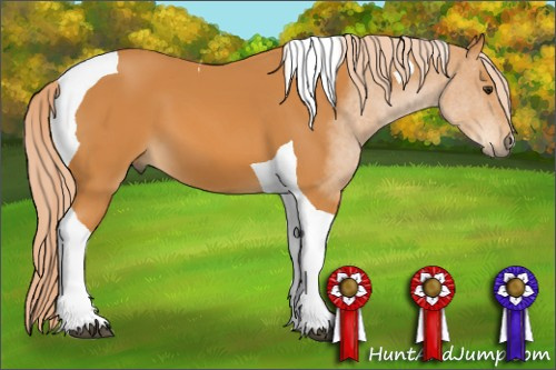 Horse Color: Chocolate Palomino Tobiano 