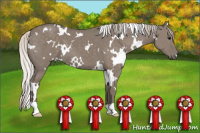 Horse Color:White Spotted Silver Buckskin Dun 