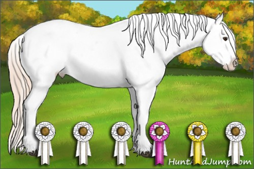 Horse Color: Palomino Roan Blanket 